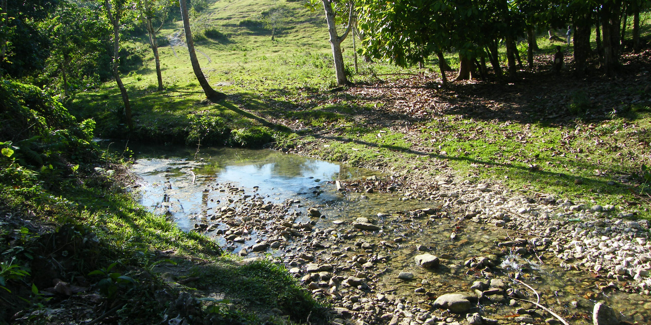 Original clinic site in Gatineau showing the creek running through the clinic site